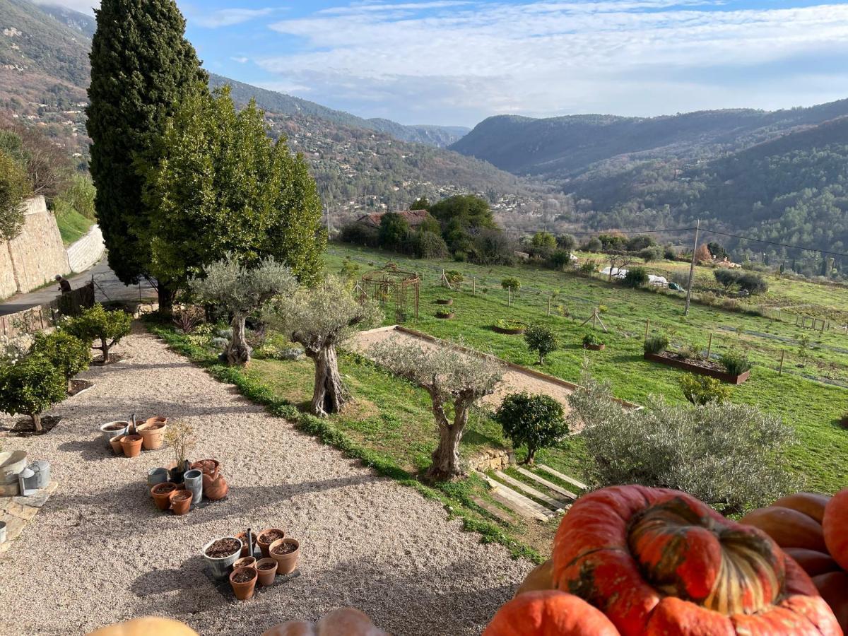 Hotel Particulier Des Jasmins Le Bar-sur-Loup Екстериор снимка