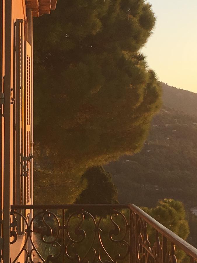 Hotel Particulier Des Jasmins Le Bar-sur-Loup Екстериор снимка