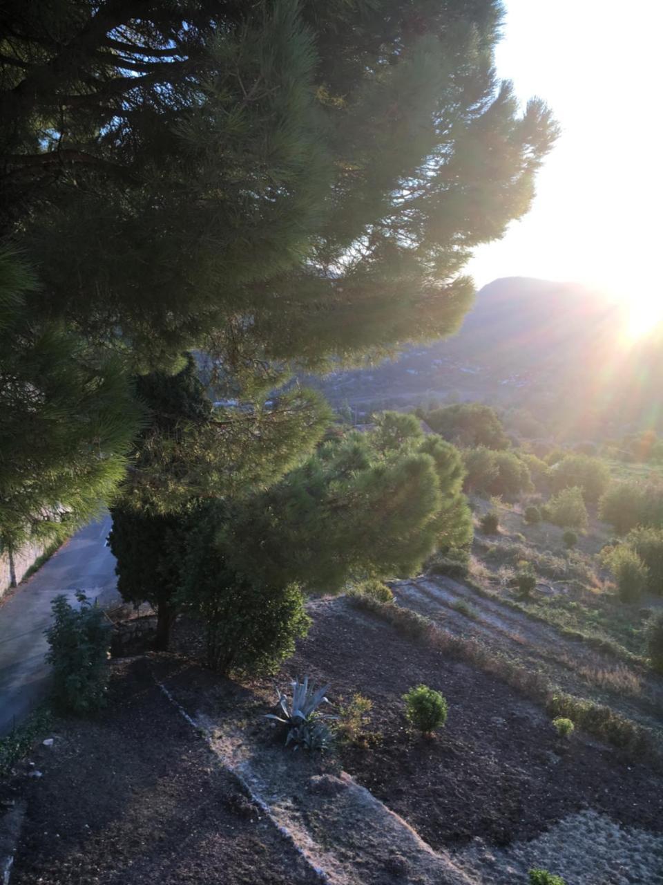 Hotel Particulier Des Jasmins Le Bar-sur-Loup Екстериор снимка